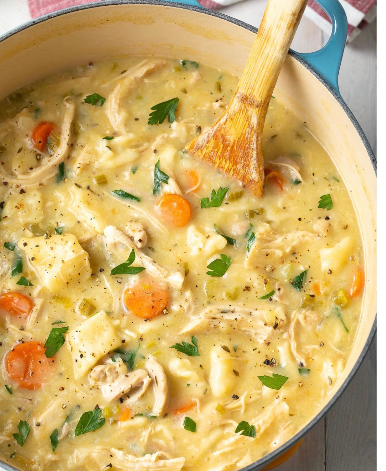 FAMILY MEAL Chicken and Dumplings